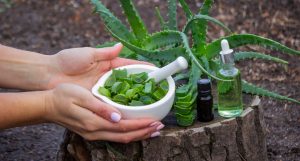 L'Aloe Vera è sopravvalutata?