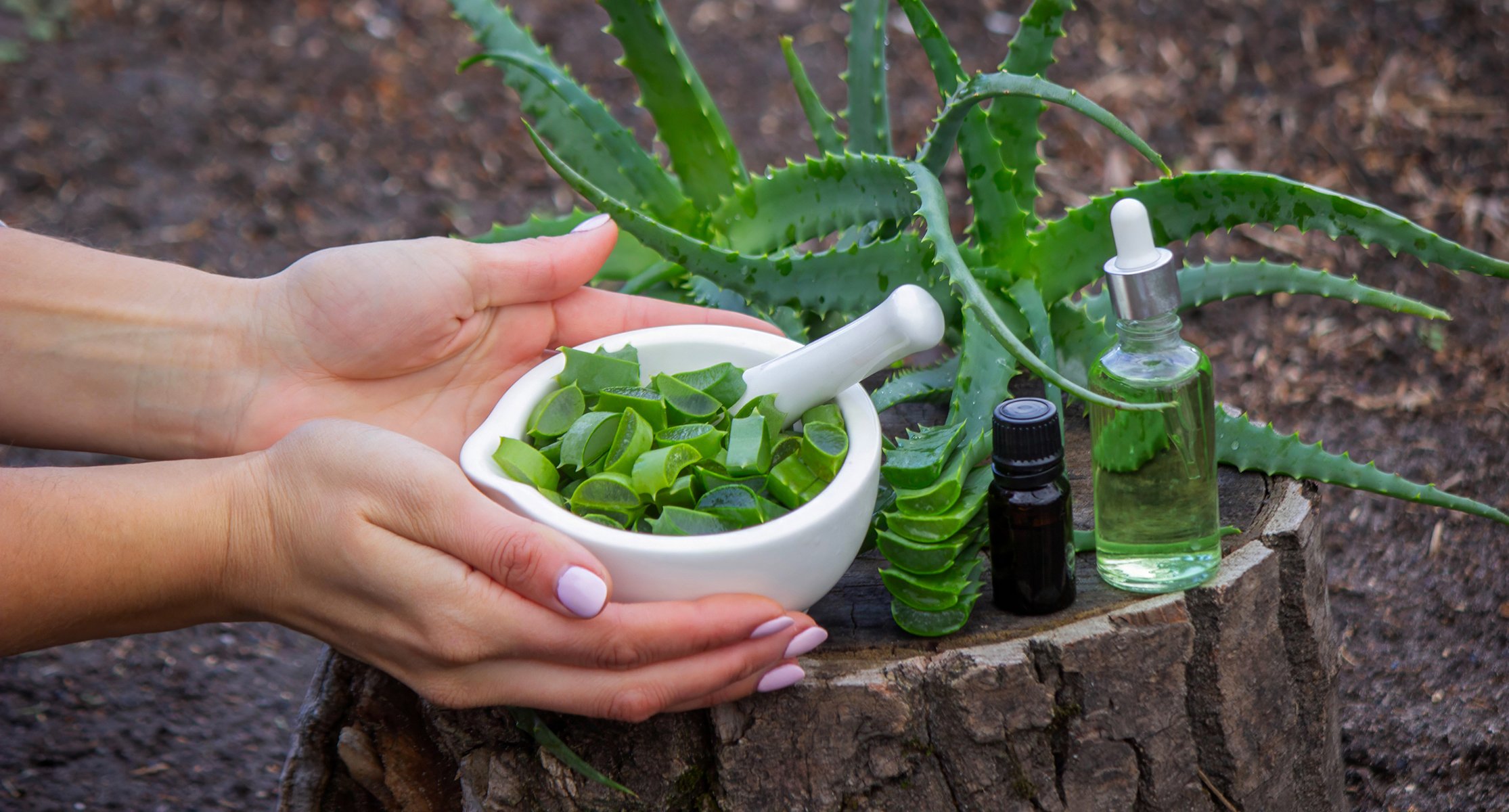 L'Aloe Vera è sopravvalutata?