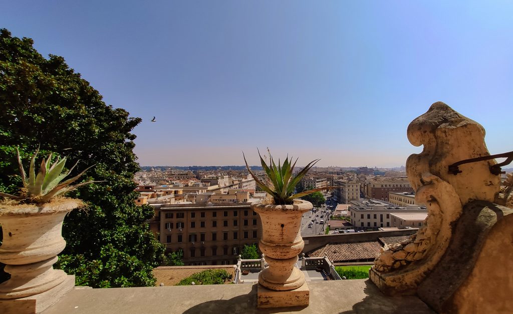 L'Aloe Vera nelle varie epoche