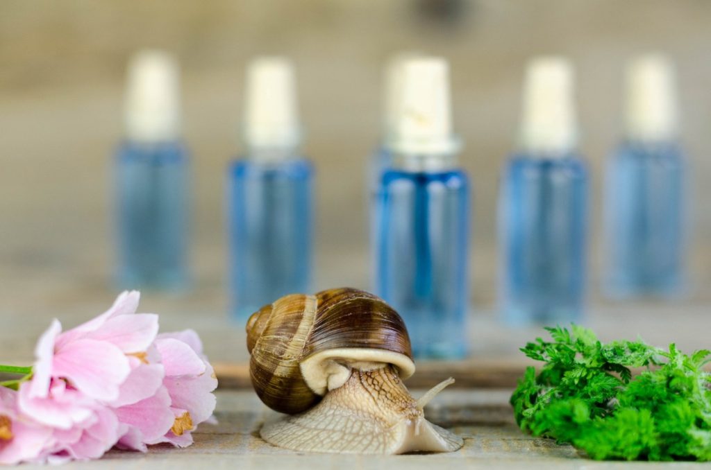 Contro i rossori la bava di lumaca risulta un ottimo ingrediente