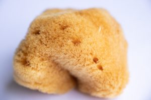 Spicule: la novità in cosmetica